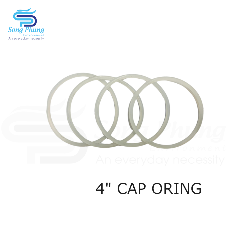 4inch Cap Oring