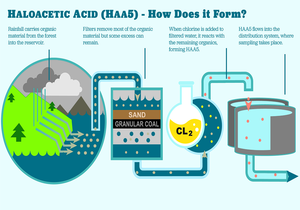 axit Haloacetic