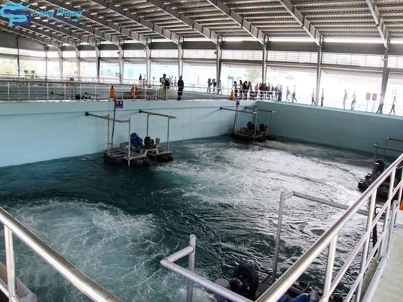 Water equipment 24h – Song Phụng